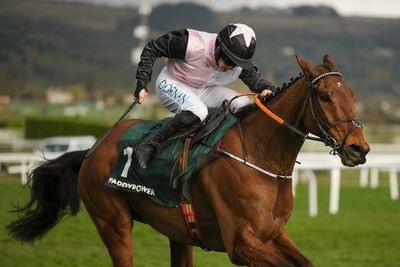Stayers Hurdle betting odds: Latest prices, betting guide & trends