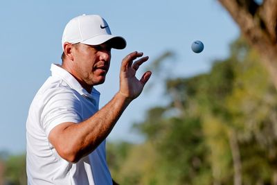 Rory McIlroy hopes to defend Players Championship despite back injury