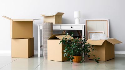 My mom taught me this 'storage swap' spring cleaning hack — here's how it changed my home