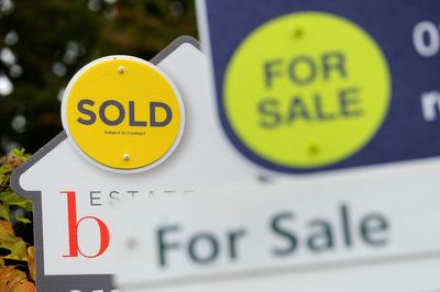 Homebuyer demand falling but surveyors expect sales and prices to rise – survey