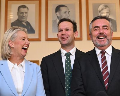 Matt Canavan has promised me a hyper Australia. I’m ready to chug red cordial and get on board