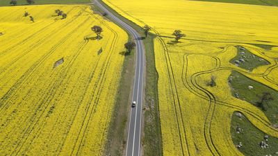 Australia risks being lapped in the race for green fuel