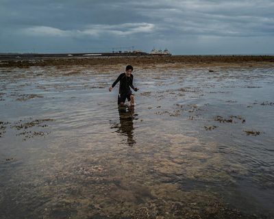 ‘The last frontier’: how red globules of nickel ore are suffocating an island’s precious wilderness