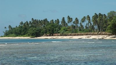 Speed, navigation errors flagged in cruise grounding
