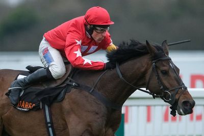 Ryanair Chase Odds: Latest prices & betting guide