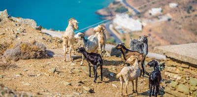 How biological invasions are silently remodelling ecosystems