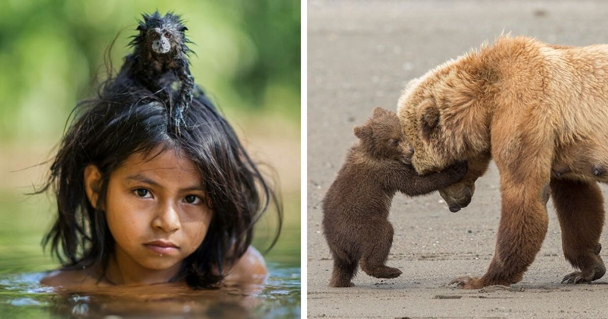 40 Breathtaking Shots That Won Awards In The Wildlife…