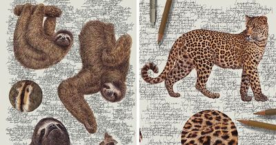 Artist Created 34 Stunning Animal Sketches That Look Almost Too Real To Be Drawn