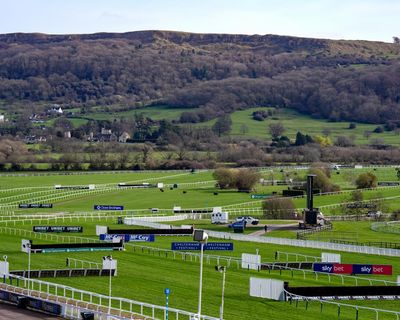 Cheltenham festival day three: Home By the Lee and Heart Wood win big races – as it happened