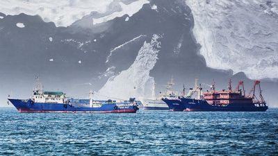 Iran gives safe passage to India through Strait of Hormuz? ‘Sources’ jump the gun again