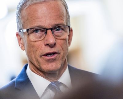 Senate again fails to pass homeland security funding as department shutdown nears one month – as it happened