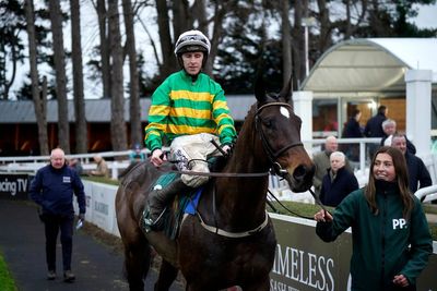 Willie Mullins makes Cheltenham Festival threat after Fact to File withdraws from Ryanair Chase