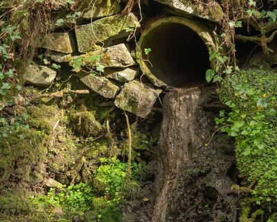 Welsh Water to pay £44.7m after ‘unacceptable’ sewage works failings