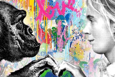 Charity auction to be held in honour of environmental activist Jane Goodall