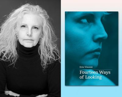 Fourteen Ways of Looking by Erin Vincent review – an exhilarating, dazzling reckoning with grief