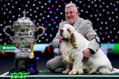Crufts champion faces growing backlash as 15,000 sign petition calling for title to be stripped