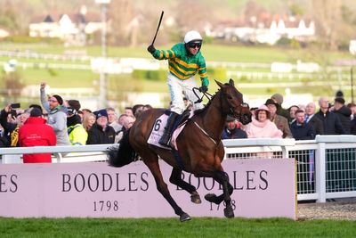 2026 Cheltenham Gold Cup betting odds: Trends & betting guide