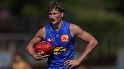 Why Eagles could be the wildcards by 2027: Worsfold