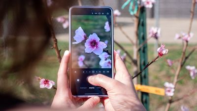 Elevate your Galaxy S26 Ultra photography game with these two easy changes you can make now