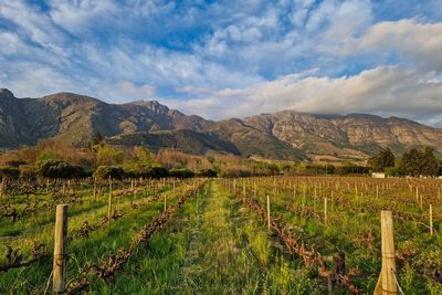 The trip that convinced me it’s worth flying to South Africa for winter sun