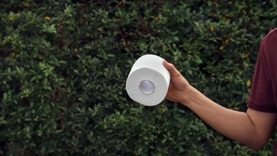 Gardeners are being urged to put toilet paper tubes in their yard in March — it’s not as strange as it sounds