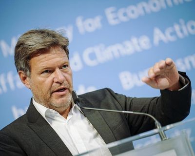 Everything is a political weapon since Trump’s re-election, says Germany’s ex-economy minister