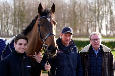 Every horse in Harry Redknapp’s stable as former football boss goes for Cheltenham Gold Cup glory