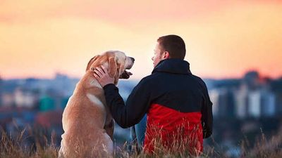Do Pets Make People Happier or More Dependent? The Emotional Bond That Is Changing Modern Life