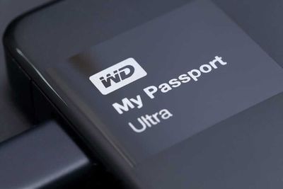 How Is Western Digital's Stock Performance Compared to Other Technology Stocks?