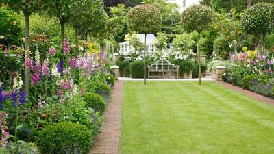 This is Why Your Grass Is Brown but Your Neighbor’s Is Green – Fix It Now for a Lush Summer Lawn