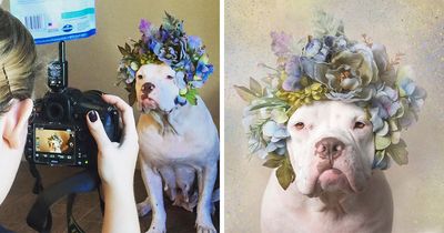 “He Isn’t A Pit Bull, He Is A Flower Dog!”: 26 New Photos Changing Perception One Person At A Time