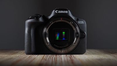 "We are not going to sacrifice high standards": Canon's midrange cameras are selling well –and offering pro specs