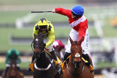 Cheltenham Gold Cup tragedy as horse dies after final race before retirement