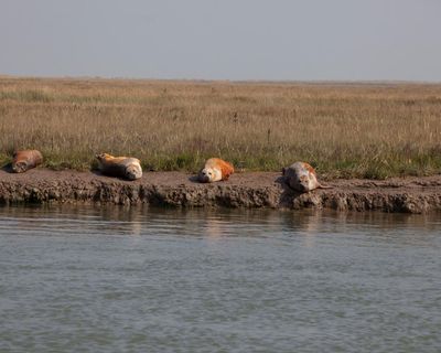 We must protect our natural habitats before they disappear