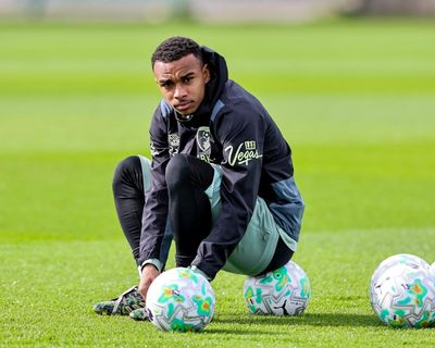 Premier League team news: predicted lineups for the weekend action