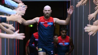 New-look Demons couldn't slow down if they tried: Gawn