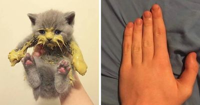 99 Cringey And Absurd Pictures That Are So Bad, They’re Good