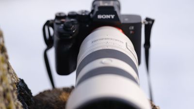 Sony 70-200mm f/2.8 GM OSS II review: A lens that proves workhorses don’t have to be heavy