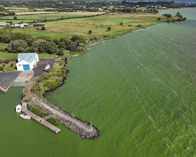 ‘Drinking from a fetid pond’: superbug-creating genes found in UK’s largest lake