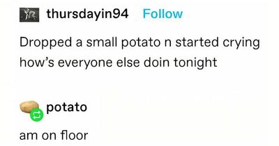 63 Comments That Received Hilarious Answers From People With The Most Relevant Usernames (New Pics)