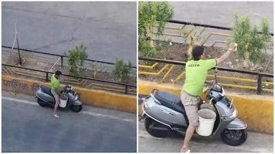 Man Watering Roadside Plants Every Morning Goes Viral; Internet Praises His Selfless Act