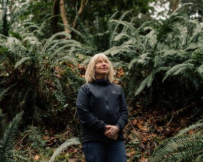 ‘My ideas are a little revolutionary’: ecologist Suzanne Simard on intelligent forests, the climate and her critics