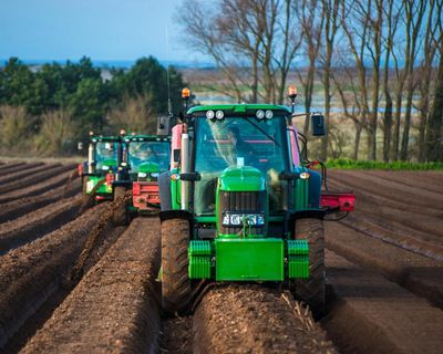 Global food supplies could be badly hit if Iran war drags on, says fertiliser boss