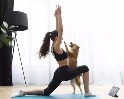 The Growing World Of Pet Yoga, Treadmills And Pet Gyms