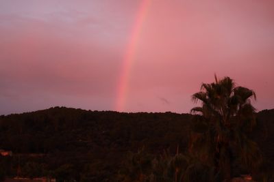 I’m a wellness expert and I believe everyone should go on a retreat once a year to avoid burnout