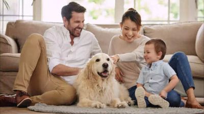5 Kid-Friendly Pets for Families with a Newborn