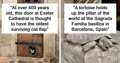 This Group Is Dedicated To Interesting Historical Items, Here Are The 77 Best Ones