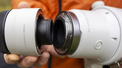 There’s a reason why you can’t put a teleconverter on a cheap lens