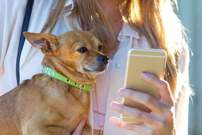 Leaving Your Pet Home Alone This Gadget Might Change Everything