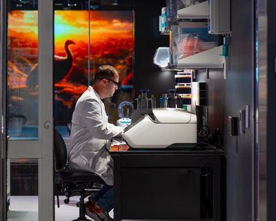 Can scientists really resurrect the dodo? Inside the company that says it can